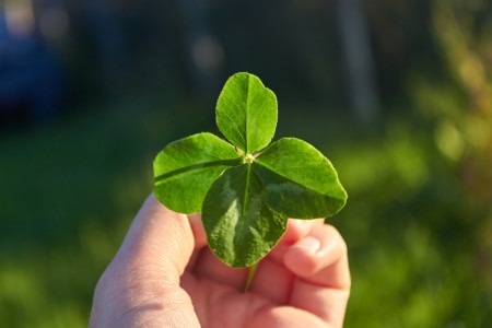 hírek