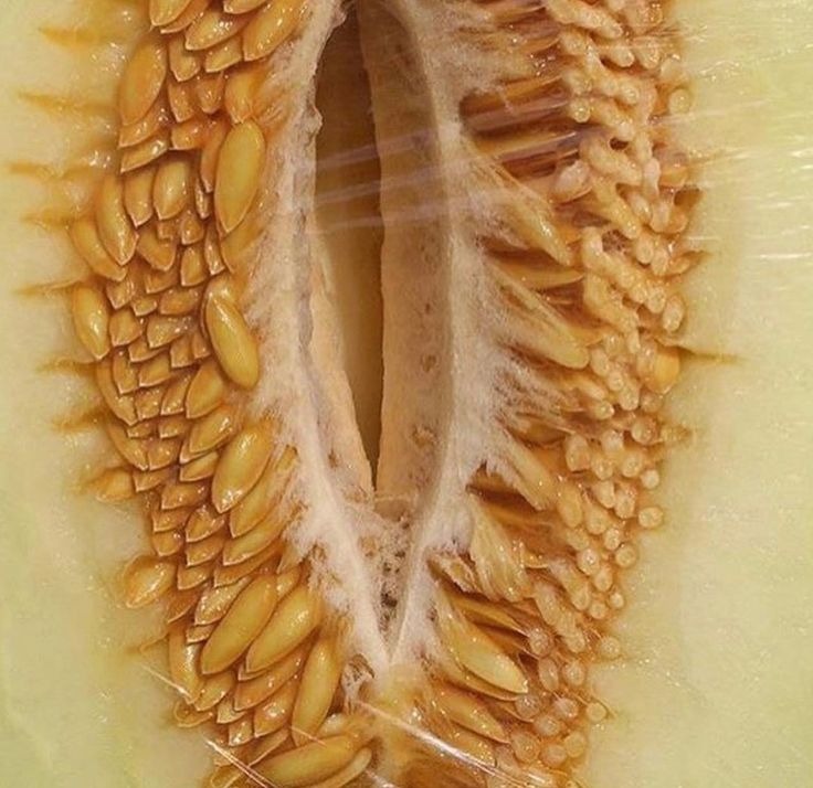 hírek